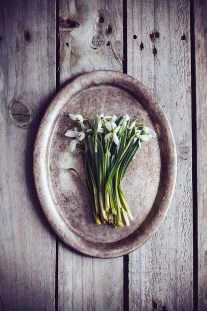 Danie na talerzu z ziołami